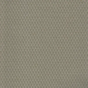 Illusion - Bronzed Beige