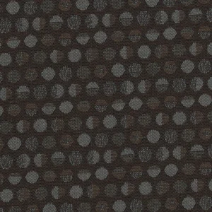 Optik - Chocaqua