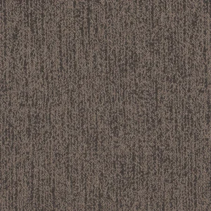 Ravine - Bark